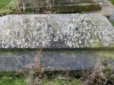 image of grave number 289596